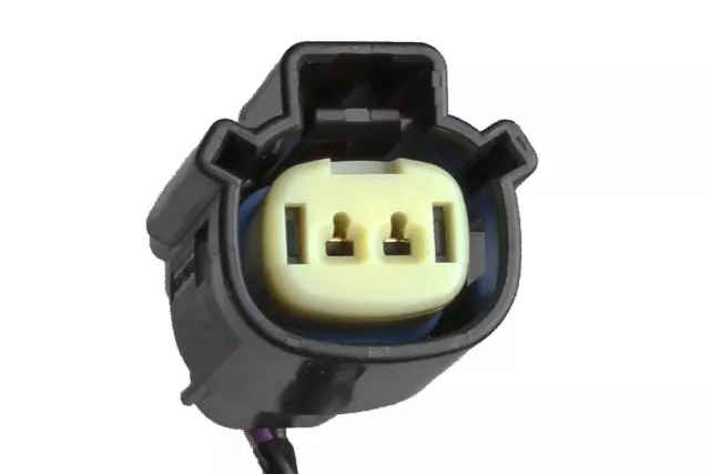 Back-up Lamp Wiring Harness - GM (84028427)