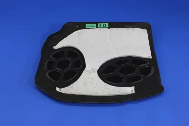 Insert Carpet, Left - Mopar (1WS41DX9AC)