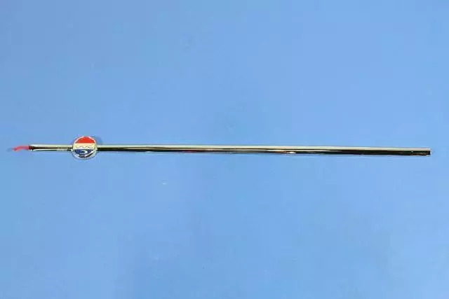 Front Door Molding, Left - Mopar (4806349AB)