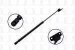 84282 - : Hood Lift Support for Focus Auto Parts Image