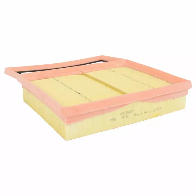 DG9Z9601A - : Air Filter for FORD Image