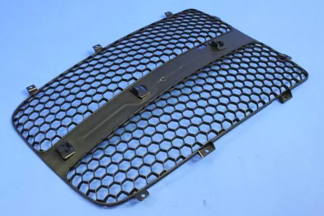 5073289AA - Cooling: Panel Grille, Left for Mopar Image image