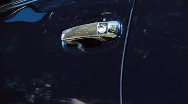 Door Edge Guards, Cement - Toyota (PT936-35170-01)