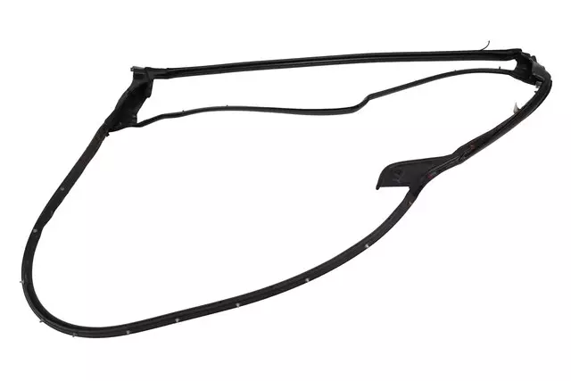 Rear Passenger Side Door Weatherstrip - GM (84234302)