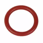 AC3Z8527A - : 2010-2024 Ford - Engine Coolant Pipe O-Ring for Ford: E-350 Super Duty, E-450 Super Duty, F-150, F-250 Super Duty, F-350 Super Duty, F-450 Super Duty, F-550 Super Duty, Mustang Image