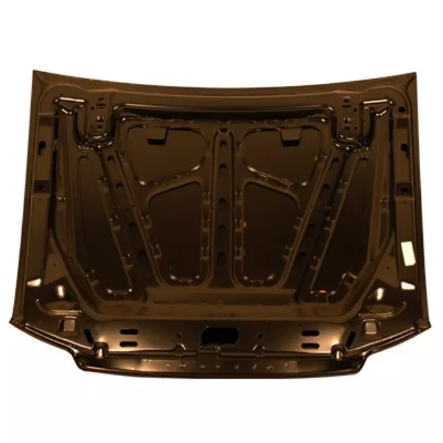 Hood - FORD (1l5z16612aa)