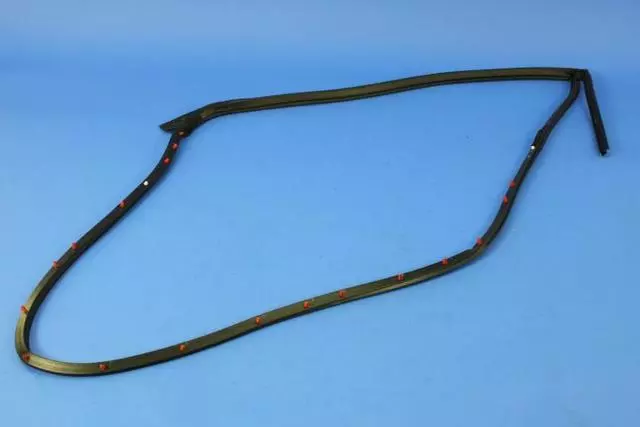Rear Door Mounted Weatherstrip, Right - Mopar (68039976AJ)