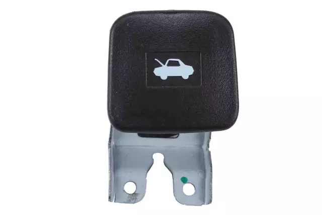 20905748 - Body: Release Handle for GM Image