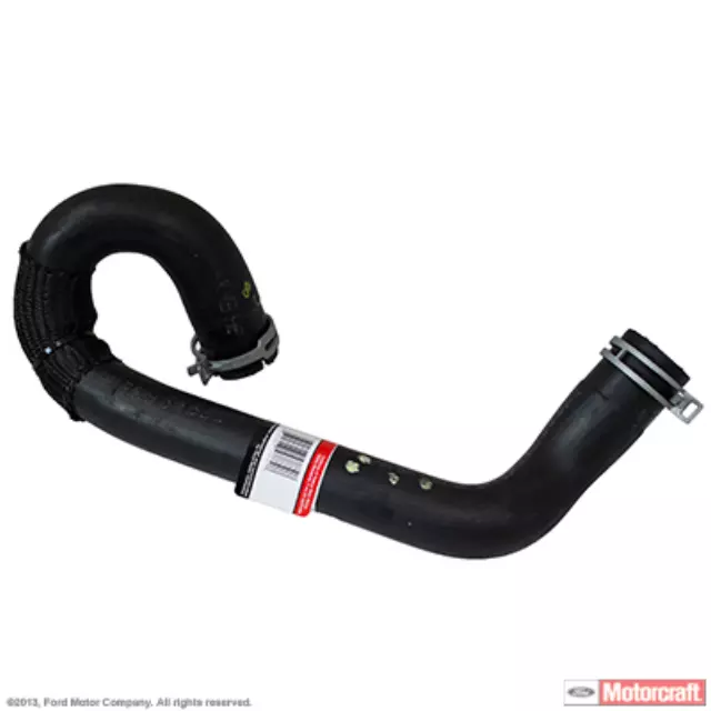 CV6Z8286K - : Lower Hose for Ford: Focus Image