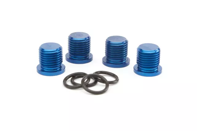 PLUG - GM (12480018)