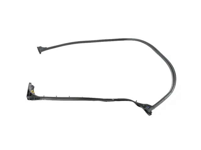 Cargo Door Weatherstrip - Mopar (68229641AD)
