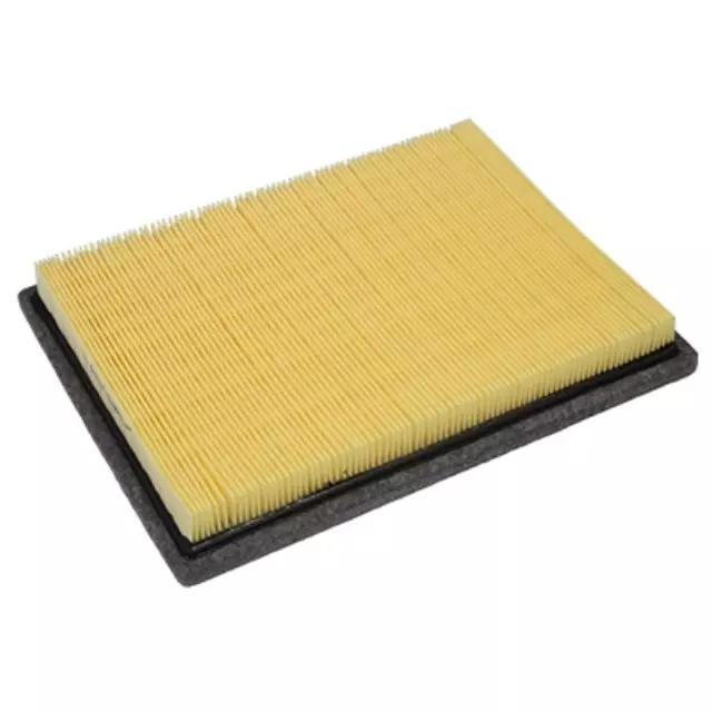 Air Filter - Ford (4L3Z-9601-BA)