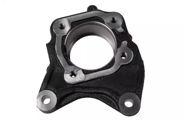 Rear Driver Side Disc Brake Caliper Bracket - GM (95937463)