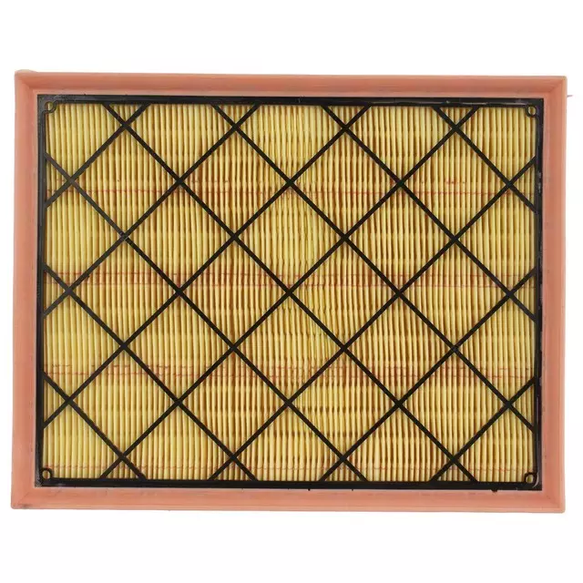 Air Filter - Ford (EB3Z-9601-B)