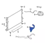 LX6Z8286X - : Lower Hose for Ford: Bronco Sport Image