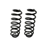 81781 - : Coil Spring Set for Moog Image