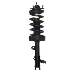 818695 - : PRT 818695 Suspension Strut and Coil Spring Assembly for PRT PERFORMANCE RIDE Image