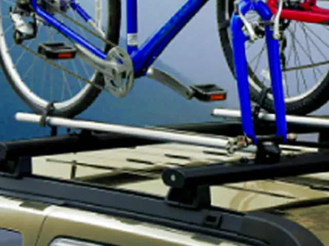 Bike Carrier - Mopar (TCFKM526)