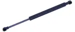 614113 - : Trunk Lid Lift Support for Tuff Support Image