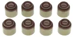 SS45919 - : Engine Valve Stem Oil Seal Set for Mahle Image