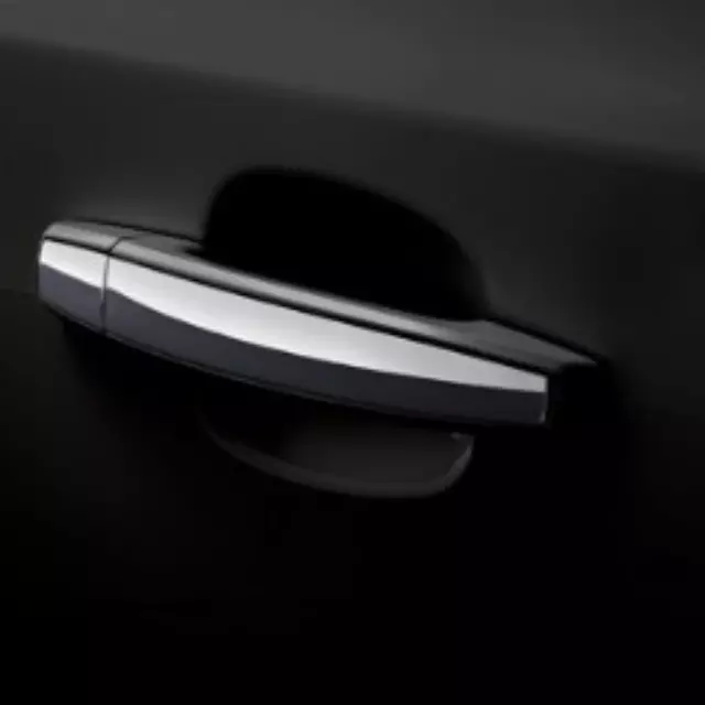 Door Handles Sets - GM (20919352)