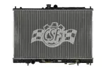 3129 - : Radiator for CSF Image