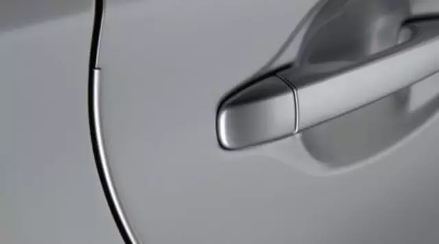 Door Edge Guards, Cr?Me Brulee Mica - Toyota (PT936-03130-05)