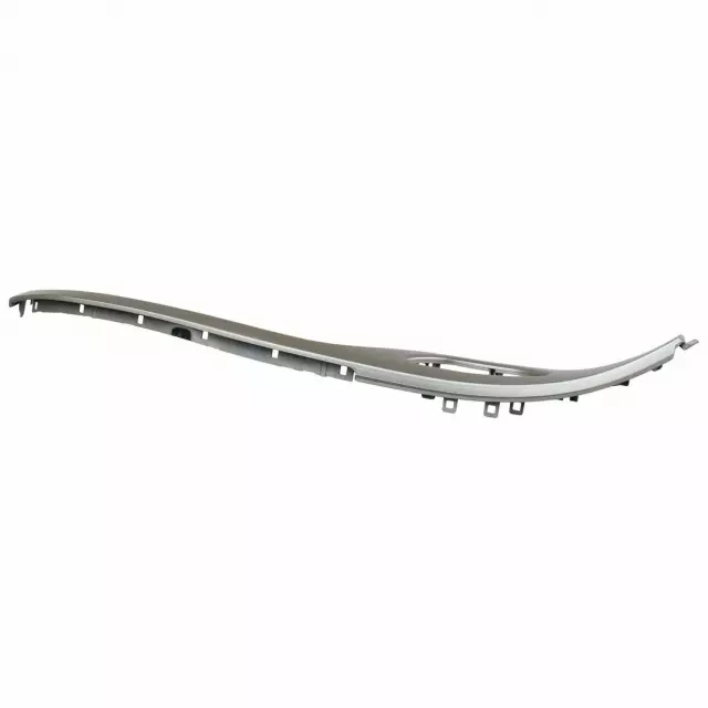 Trim Molding - Ford (HA1Z58061A17AA)