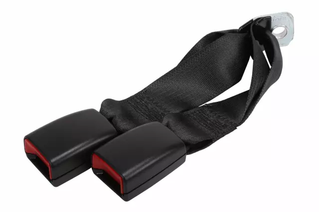 Ebony Rear Center Seat Belt with Buckle - GM (89025888)