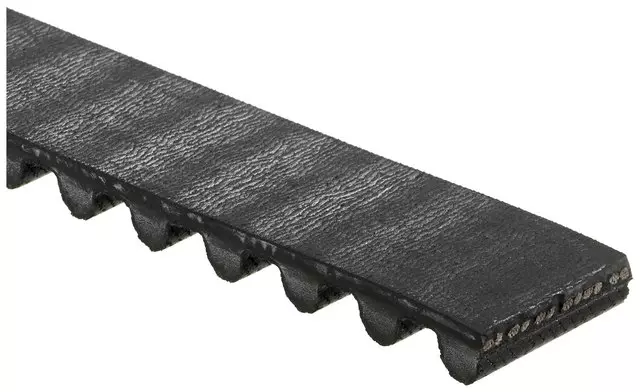 Belt - GM (TB203)