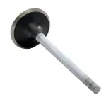 EM3491 - : Engine Exhaust Valve for Enginetech Image