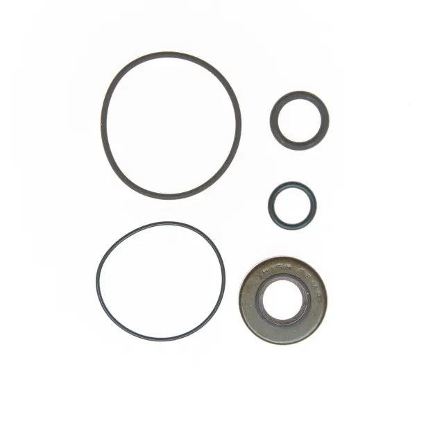 8794 - : PUMP SEAL KIT for Edelmann Image