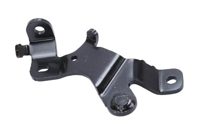 22942848 - Body: Plate for GM Image