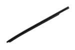 85798101 - : F Molding for GM Image