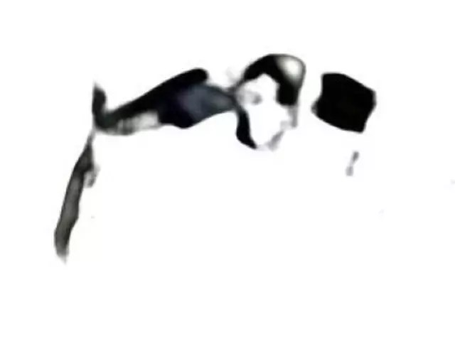 Cover Wheel - Ford (4L3Z1130GA)