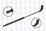 84319L - : Liftgate Lift Support for Focus Auto Parts Image