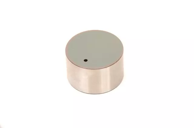 19317171 - : Part# 19317171 Engine Hydraulic Valve Adjuster/Valve Lifter for Chevrolet: City Express Image