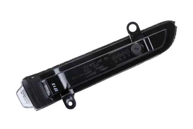 95262025 - : Lamp Assembly-O/S Rear View Mirror T/Sig for GM Image