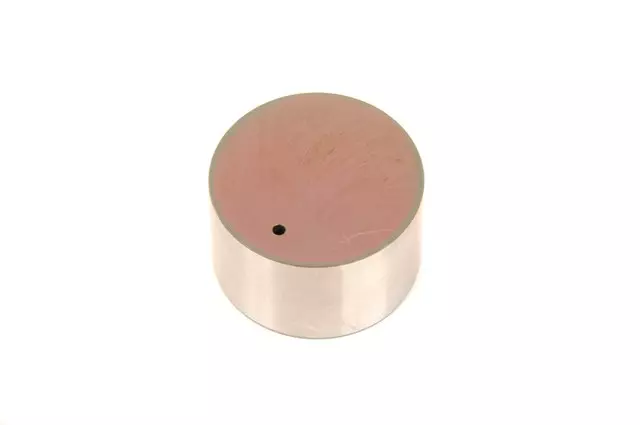 19317399 - : Engine Hydraulic Valve Adjuster/Valve Lifter for Chevrolet: City Express Image