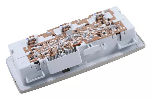 Very Light Platinum Center Courtesy Lamp - GM (23176770)