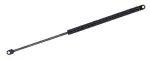 612593 - : Liftgate Lift Support for Tuff Support Image