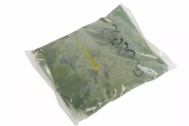 26028005 - : Lubricant Kit for GM Image