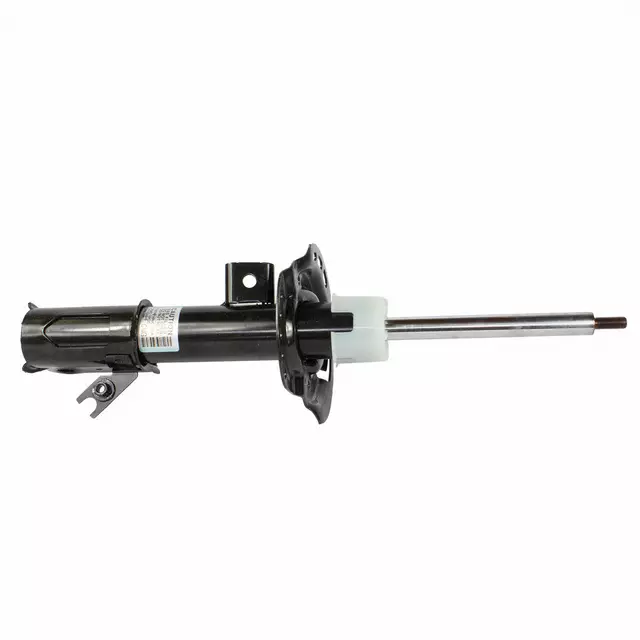 Strut - Ford (DG9Z-18124-Q)