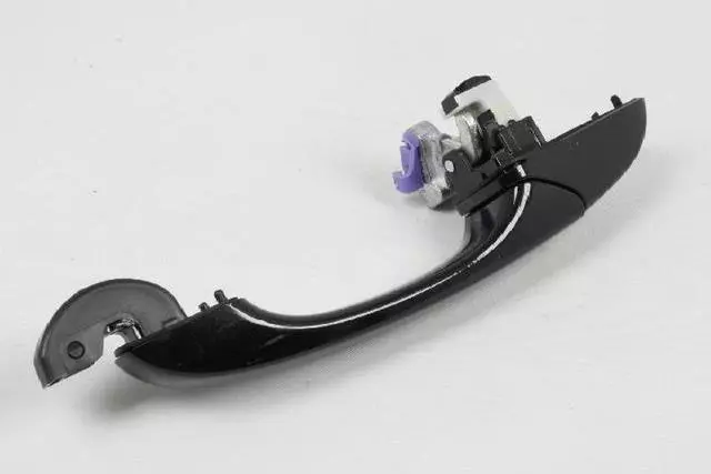 Exterior Door Handle, Right - Mopar (1NA54AXRAF)