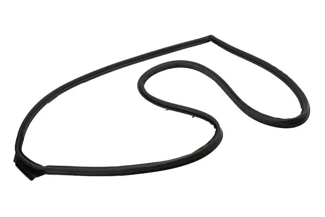 Passenger Side Door Weatherstrip - GM (20835395)