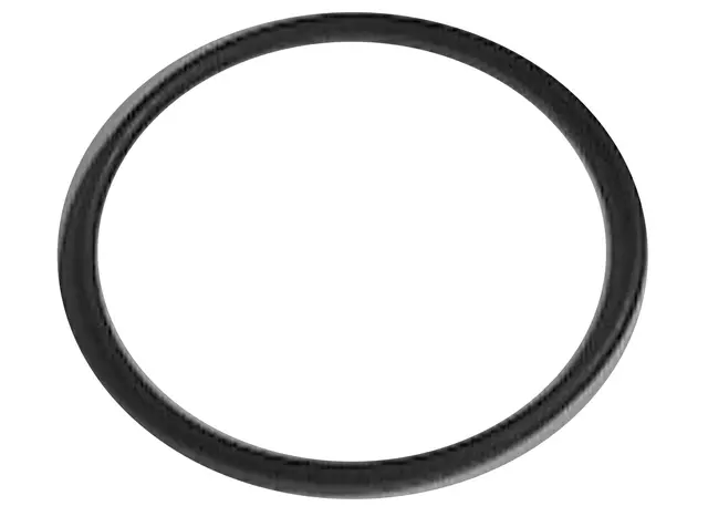 12582472 - : Engine Coolant Thermostat Seal for Cadillac: ATS, CT4, CTS, SRX, STS | Chevrolet: Camaro, Colorado | GMC: Canyon Image