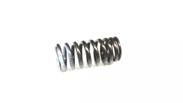 13217AA39A - : Valve Springs for Subaru: Legacy, Outback Image