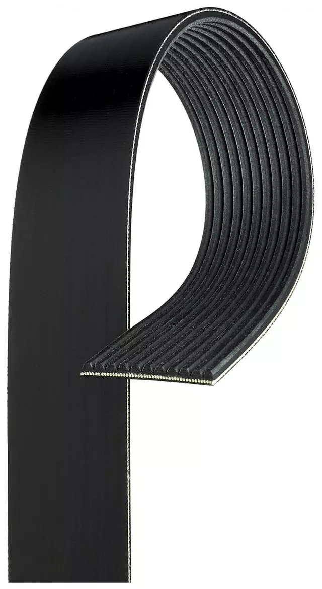 Belt - GM (11K841)