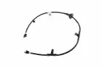 85810632 - Body: Harness for GM Image