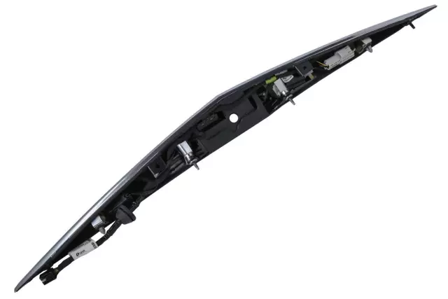 Galvano Silver Rear Closure Center Applique with License Plate Lamp - GM (23233720)